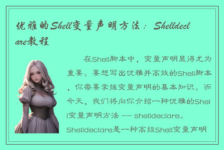 优雅的Shell变量声明方法：Shelldeclare教程