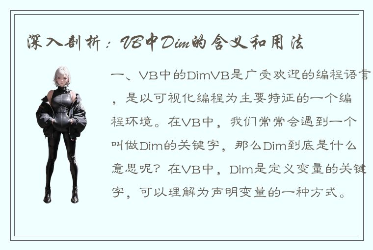 深入剖析：VB中Dim的含义和用法