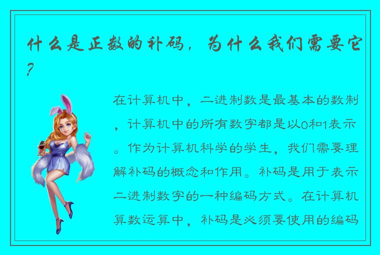 什么是正数的补码，为什么我们需要它？